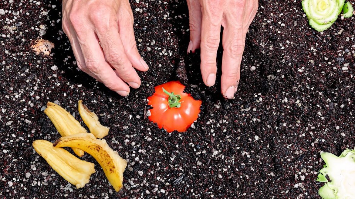 James Prigioni: I Spent 5 Years Testing VIRAL Tomato HACKS, Here’s What Happened I Spent 5 Years Testing VIRAL Tomato HACKS, Here’s What Happened