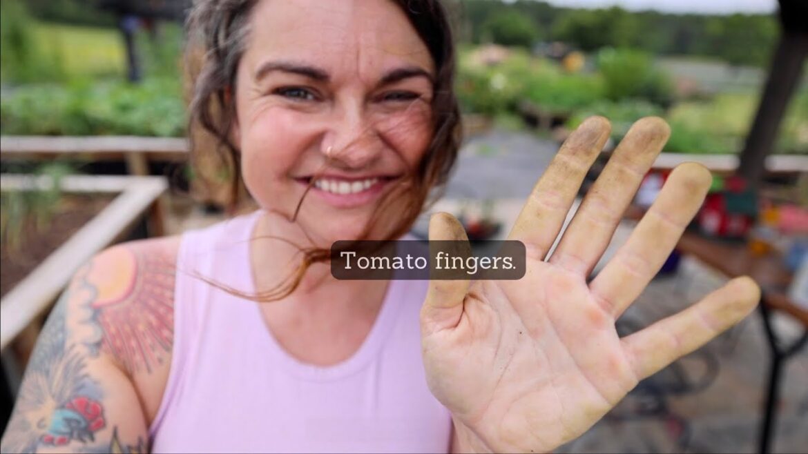 Roots and Refuge Farm: Name that mystery critter (& Tomato Pruning ) | VLOG Name that mystery critter (& Tomato Pruning ) | VLOG