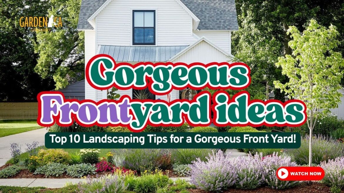 π‘ TOP 10 Landscaping Tips for a Gorgeous Front Yard!π·π» #gardeningtips π‘ TOP 10 Landscaping Tips for a Gorgeous Front Yard!π·π» #gardeningtips