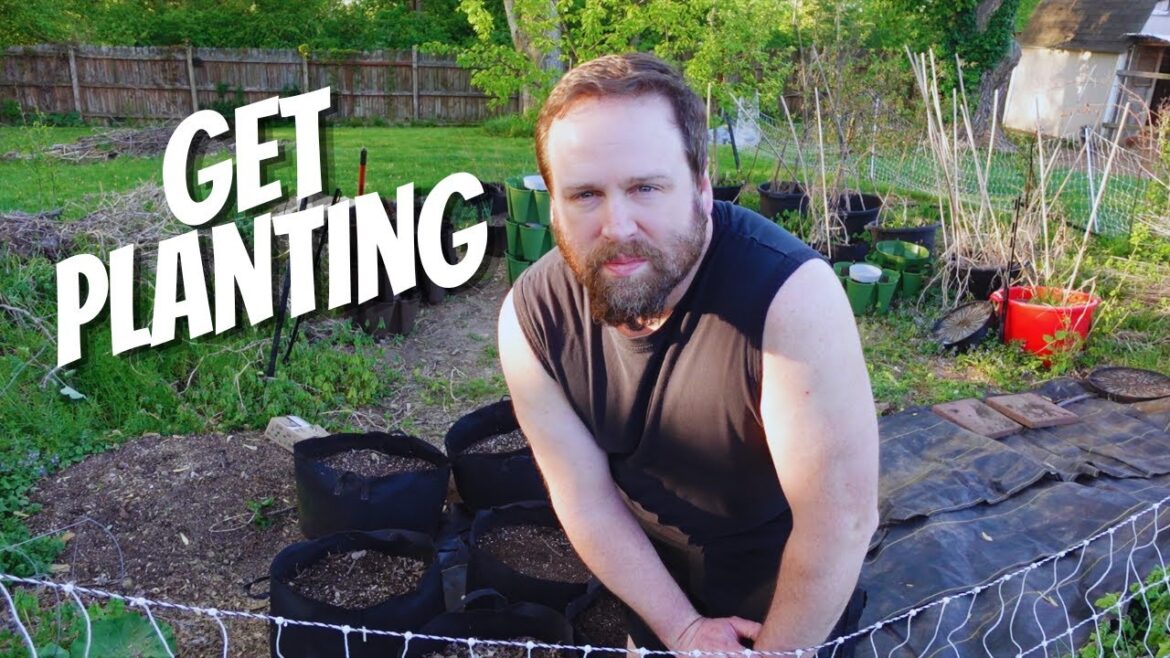 Container Gardening: Its Time To Get Some Planting Done Container Gardening: Its Time To Get Some Planting Done