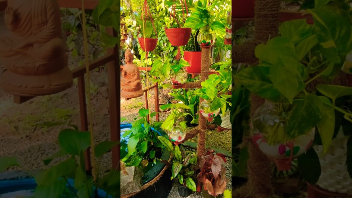 Beautiful Garden Ideas 🌿 #youtubeshorts #shortsfeed