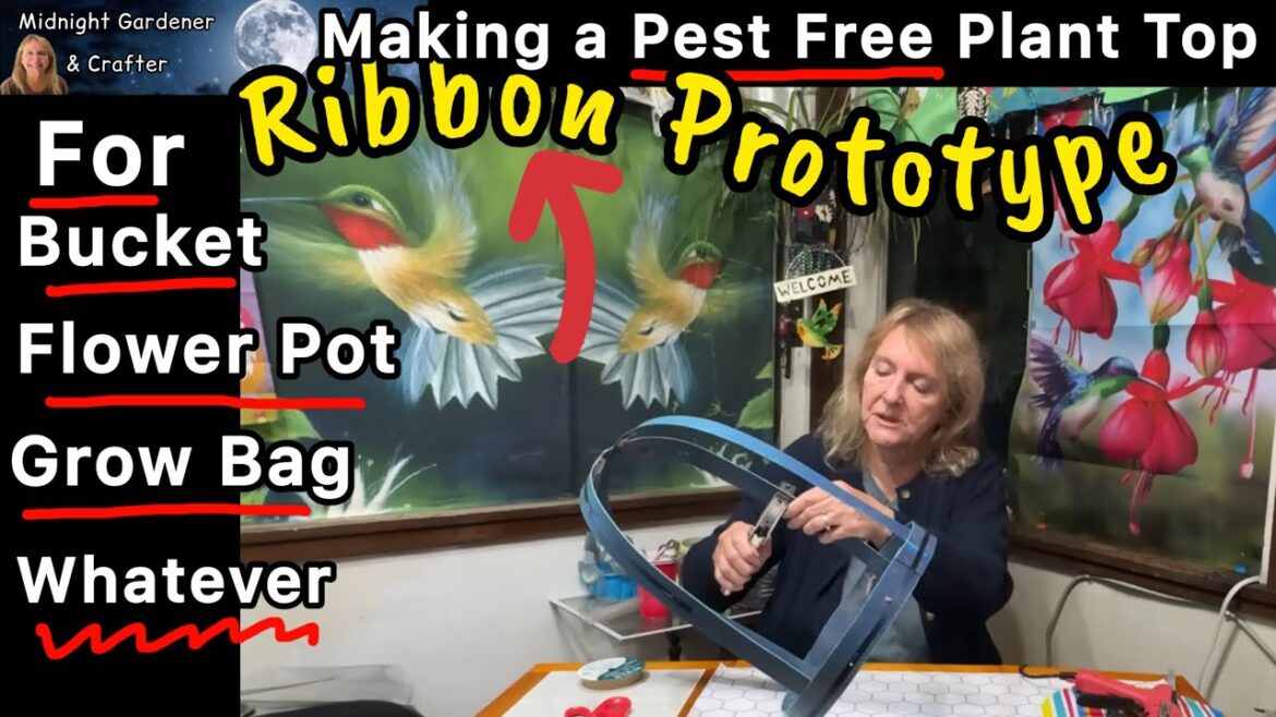 How to Make a Container Garden Pest Free Cover to Protect Plants for Bucket, Grow Bag & Flower Pot How to Make a Container Garden Pest Free Cover to Protect Plants for Bucket, Grow Bag & Flower Pot