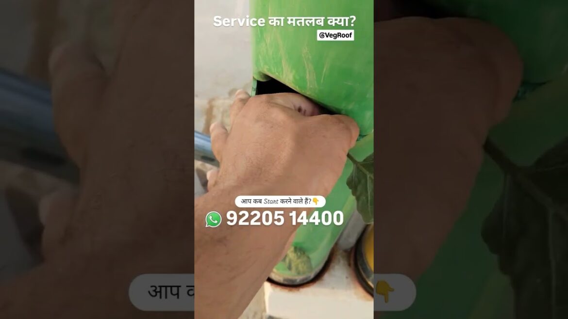 Poison free Veggies   Vertical Vegetable Gardening  Tower Gardening   Alternate of Hydroponic 1