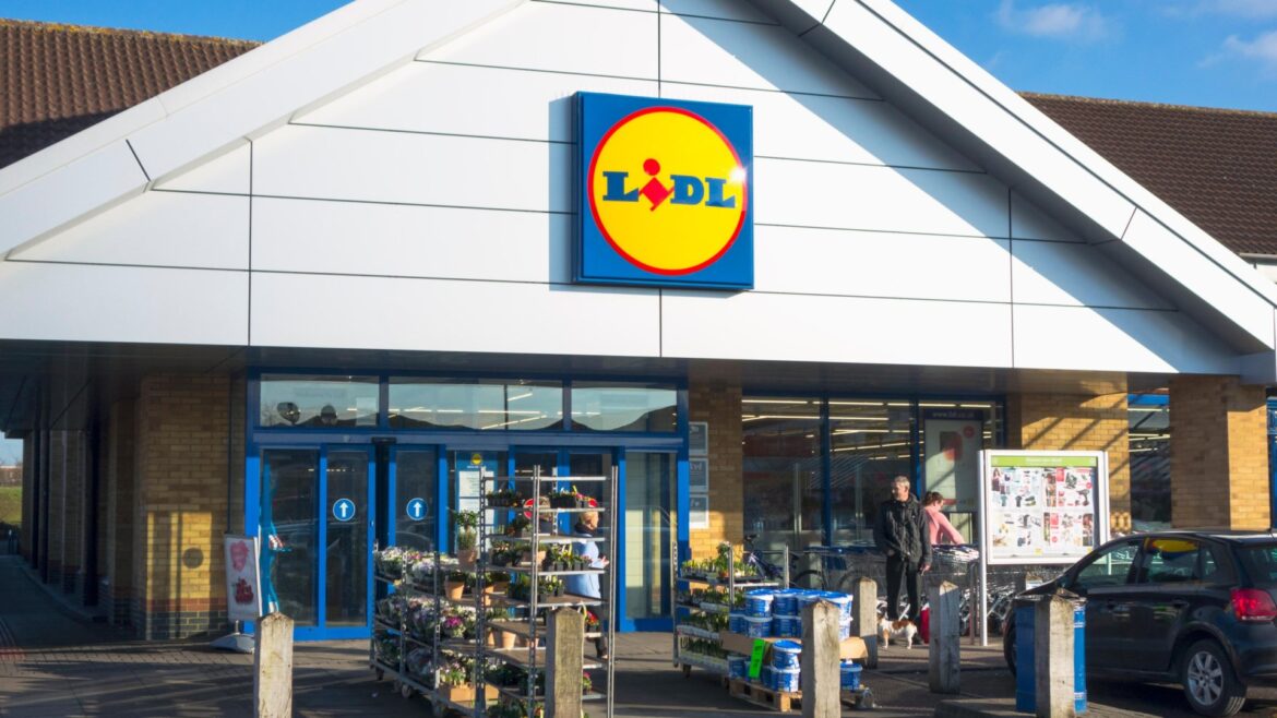 Lidl is selling a ‘stylish & durable’ garden must-have that's £70 cheaper than The Range's version