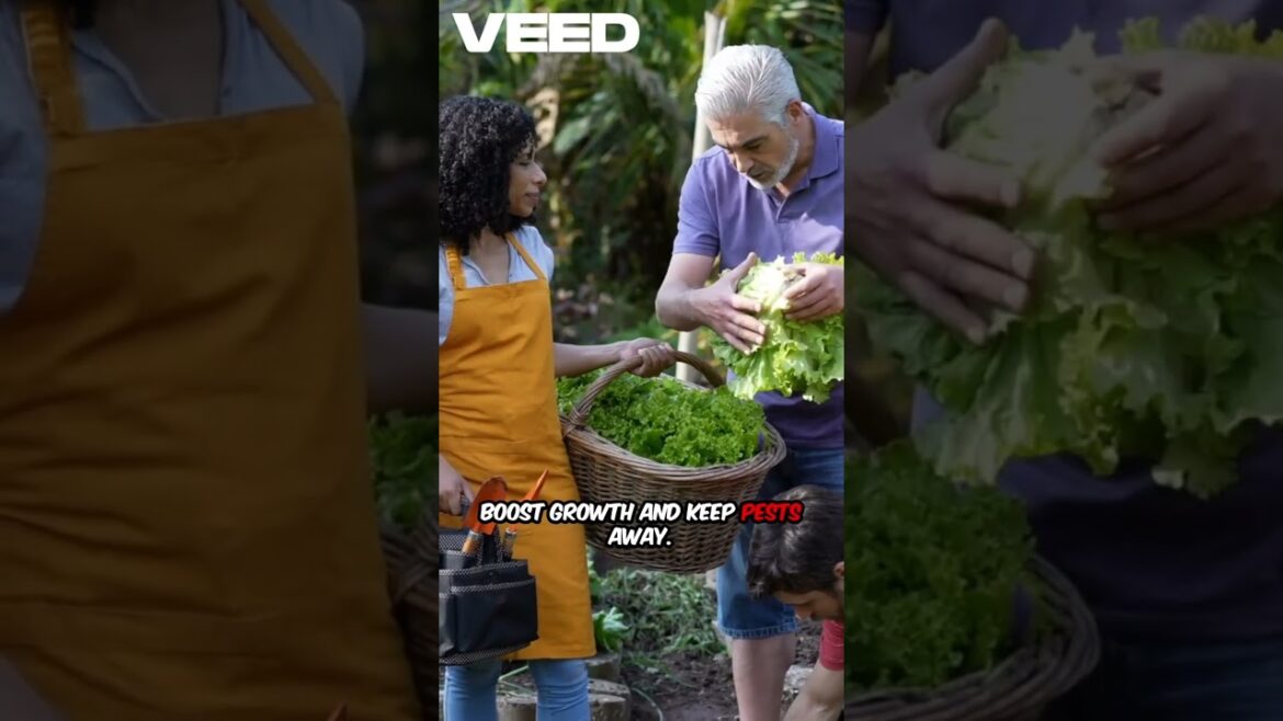 TOP 3 Gardening Trends #grow