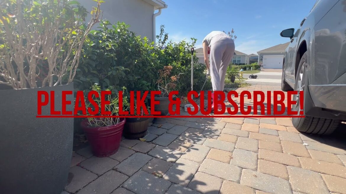 Garden Work Planting 🪴Front Yard Landscaping Ideas #gardening #gardenwork #doglover