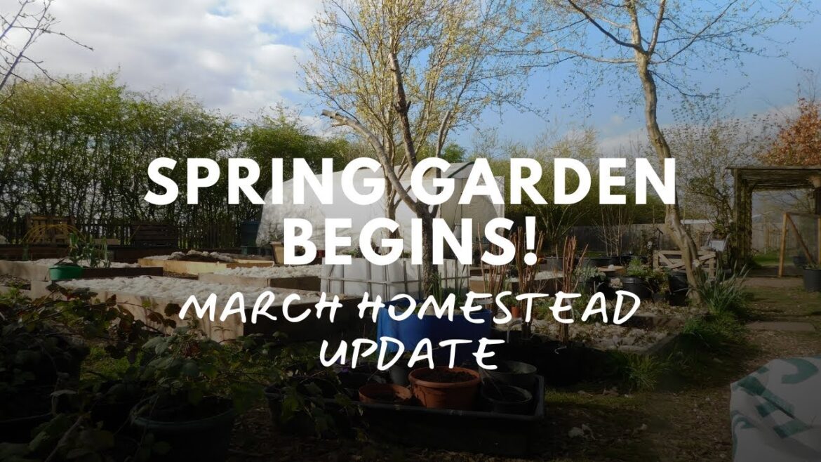 March on the Homestead | Spring Cleaning, Seedlings & Big Garden Plans!