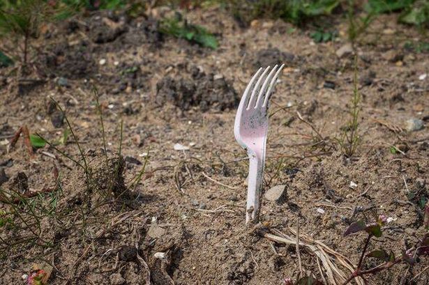 Plastic forks can be useful in the garden