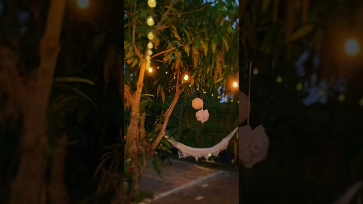 Backyard bbq #shorts #nature #backyardgarden