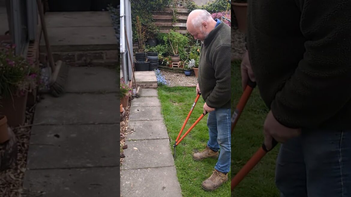 Edging shears for down the path. No power tools today #garden #me #shear #gardening #tools #brush