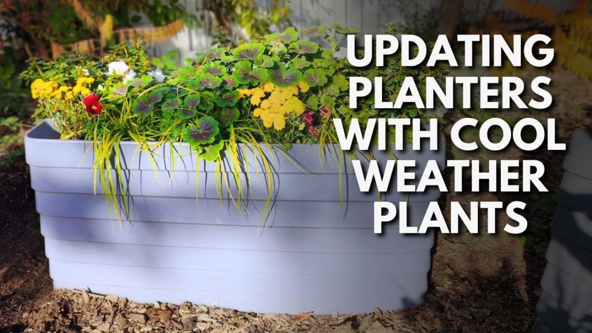 Fall Container Gardening: What to Plant Fall Container Gardening: What to Plant