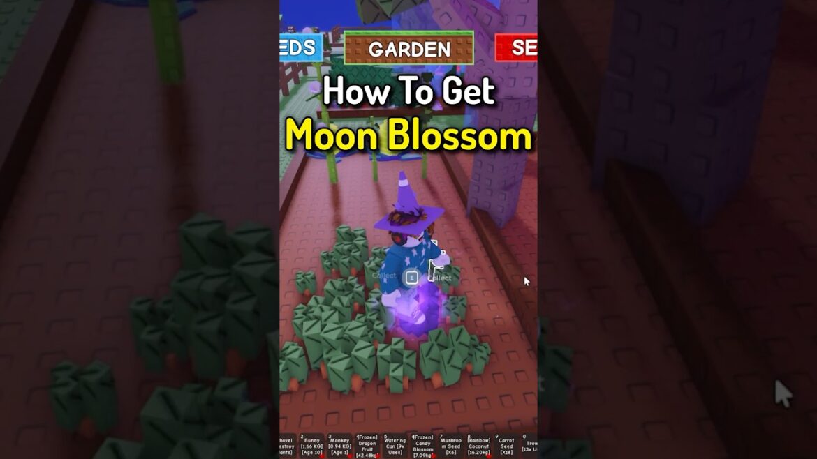 MOON BLOSSOM! How To Get Moonlit & Lunar Points in Roblox Grow A Garden Lunar Grow MOON BLOSSOM! How To Get Moonlit & Lunar Points in Roblox Grow A Garden Lunar Grow