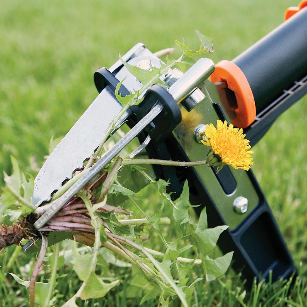 Stand Up Weeder