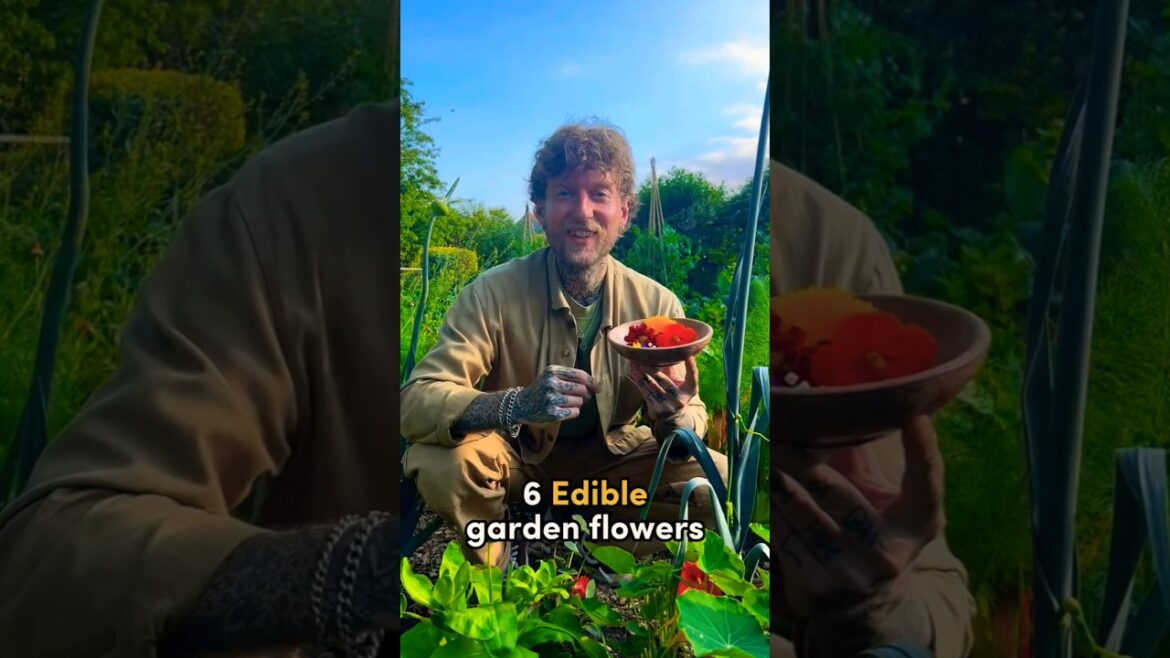Edible Garden flowers🌹 #flowergardening#edibleflower#gardeningtips#vegetablegarden#companionplanting Edible Garden flowers🌹 #flowergardening#edibleflower#gardeningtips#vegetablegarden#companionplanting
