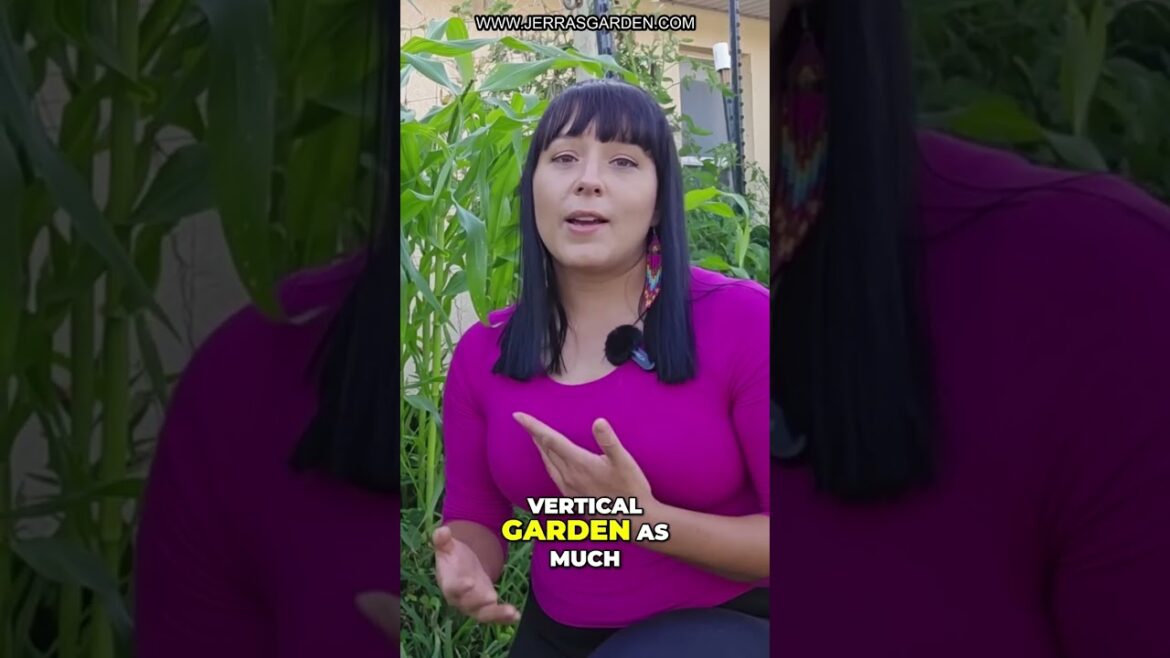 Organic Disease Control: Tips for Your Summer Garden