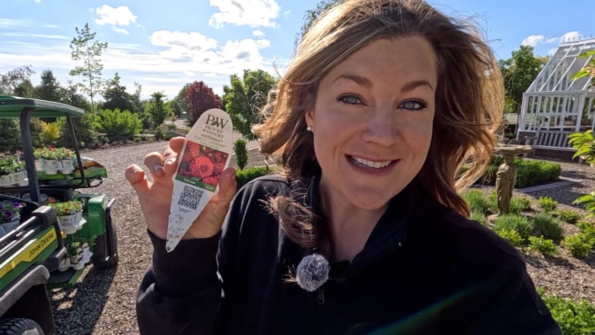 Garden Answer: A Surprising Flower Color Palette for the Hartley & Parterre! 😍❤️🌺 // Garden Answer A Surprising Flower Color Palette for the Hartley & Parterre! 😍❤️🌺 // Garden Answer