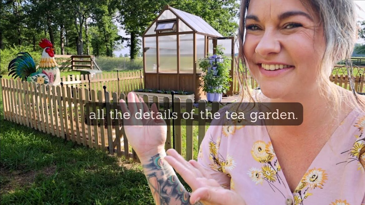 Roots and Refuge Farm: All the Tea Garden Details  (Fence, Beds, Greenhouse, Etc) All the Tea Garden Details  (Fence, Beds, Greenhouse, Etc)