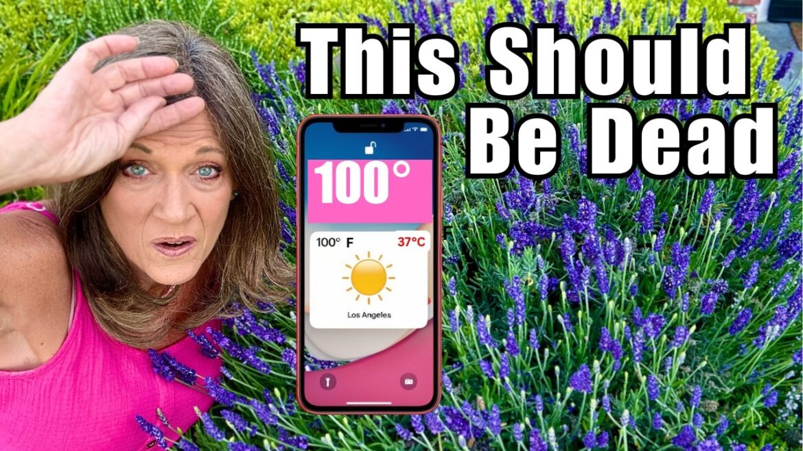 12 Edible Perennials That Don’t Die—Even in 100°F Heat: Plant Once, Harvest Forever