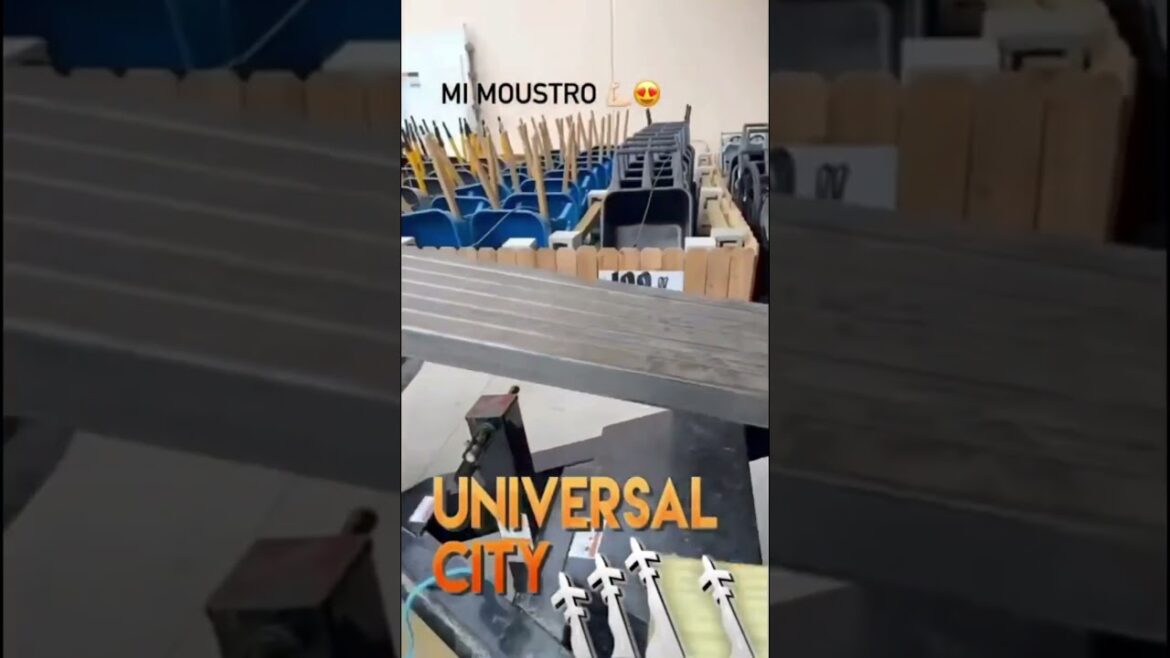 #sanantonio #construction #backyard #garden #concrete #handyman #italo free estimate #patio