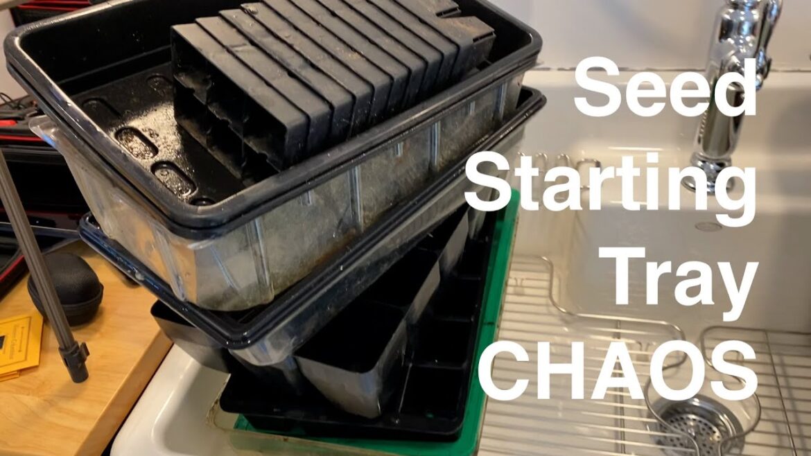 Seed Starting Trays Galore!