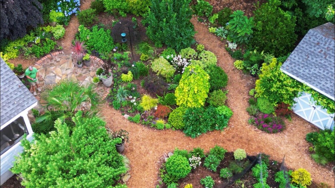 May Back Garden Tour