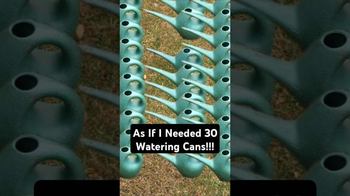 #homesteadvibes  #gardeningtips #farminglife #wateringtips #gardeningideas #homesteadvibes  #gardeningtips #farminglife #wateringtips #gardeningideas