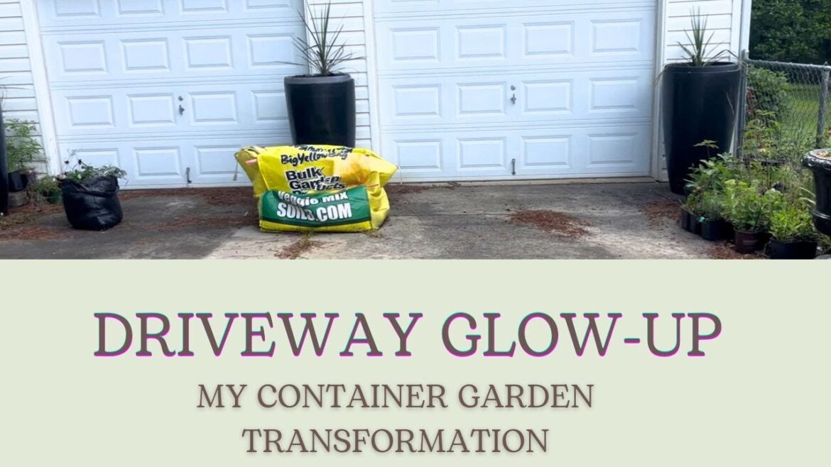 Driveway Glow-Up! 🌟 My Container Garden Transformation