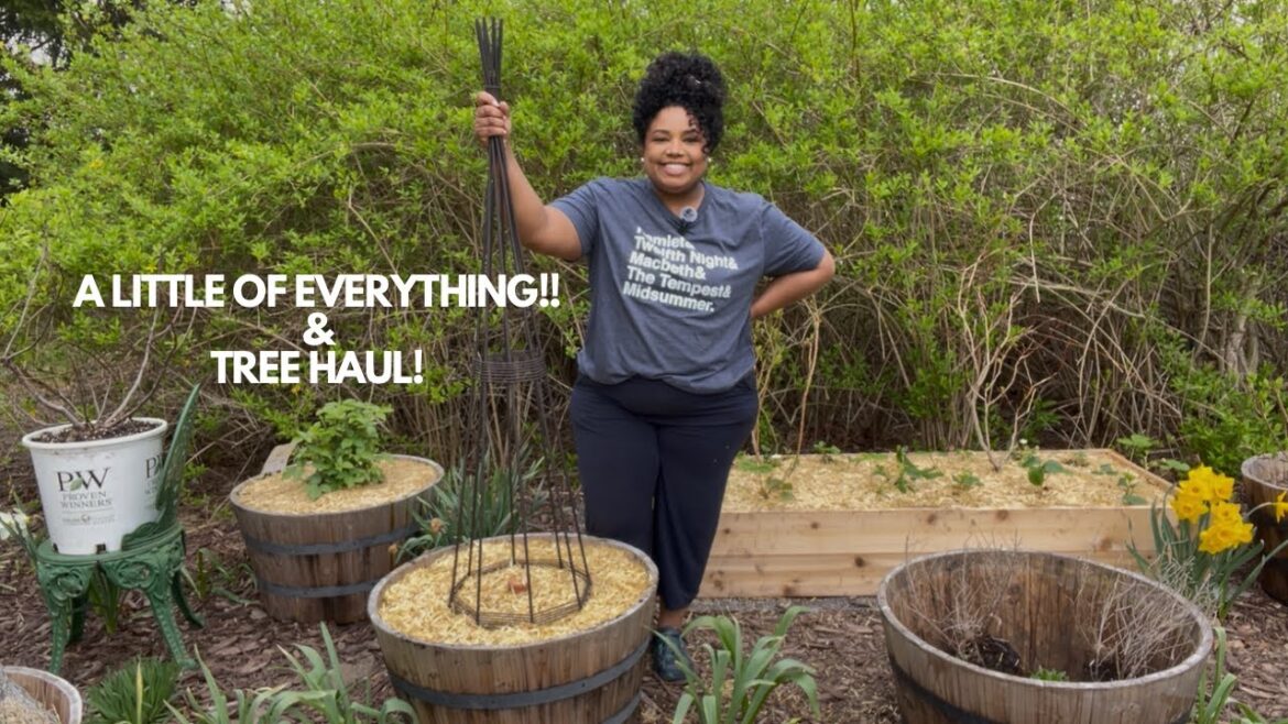 Planting peas || adding an olla || adding Essex plant supports on my peonies! & a tree hail!! 🌳 Planting peas || adding an olla || adding Essex plant supports on my peonies! & a tree hail!! 🌳