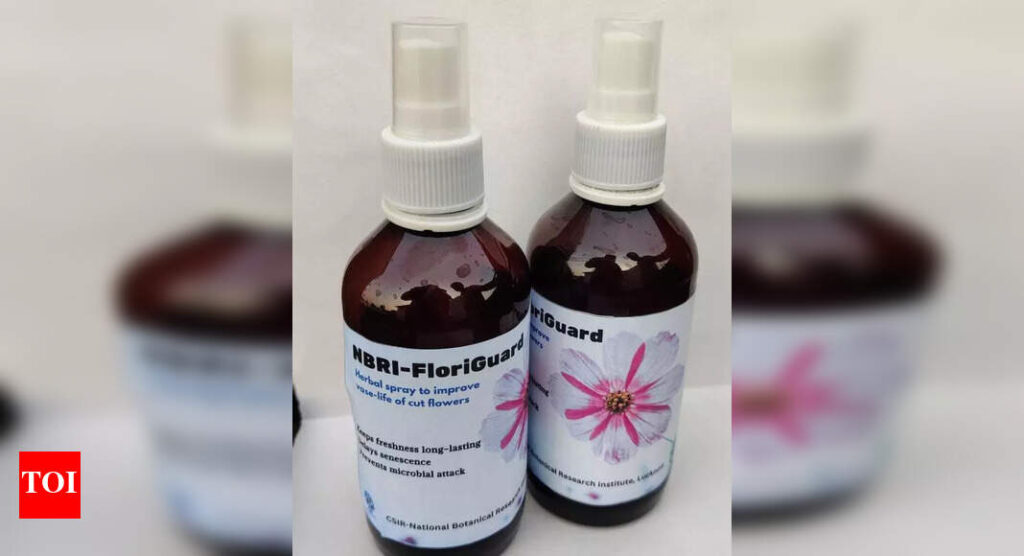 NBRI spray to keep bouquet flowers fresh for longer span | Lucknow News