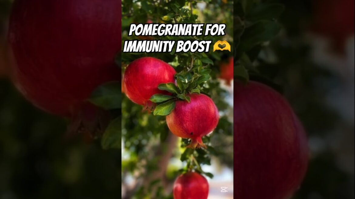 Do you like pomegranate? #viralvideo #shortsvideo #pomegranate #garden #fruit #music #song