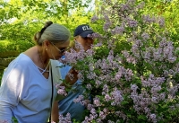 Cove Garden Club Visits Rockefeller Park Greenhouse’s Vibrant Gardens Cove Garden Club Visits Rockefeller Park Greenhouse’s Vibrant Gardens