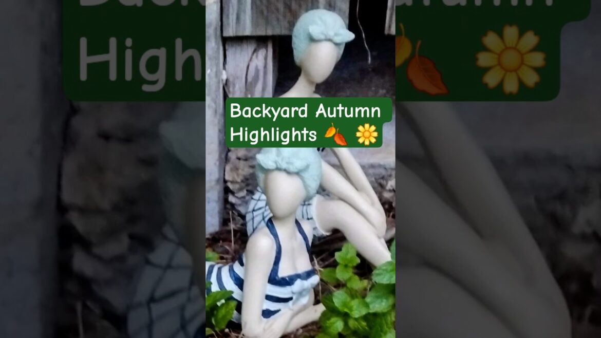 Backyard Decor  🍂 #shortsfeed #garden #mybackyardgarden #gardening #gardendecor #shorts