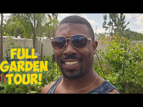 Our Full Urban Suburban Florida Container Garden Tour Zone 9B Our Full Urban Suburban Florida Container Garden Tour Zone 9B