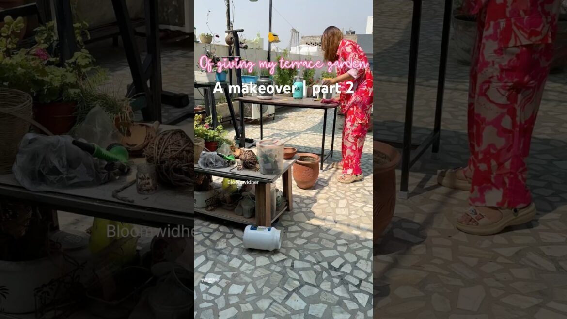 Terrace Garden Makeover Part 2 | Organizing Gardening Tools, Products & Setup #shorts #terracegarden