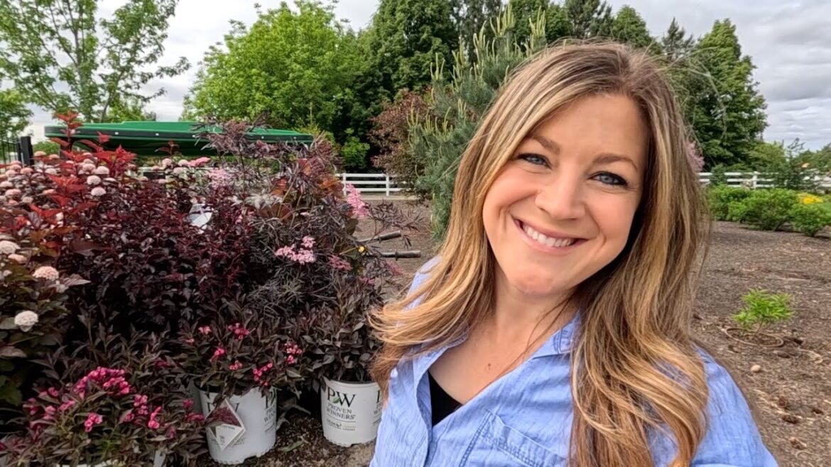 5 Beautiful Red-Foliage Shrubs for Sun + Planting Shade Containers! ❤️🌿❤️ // Garden Answer