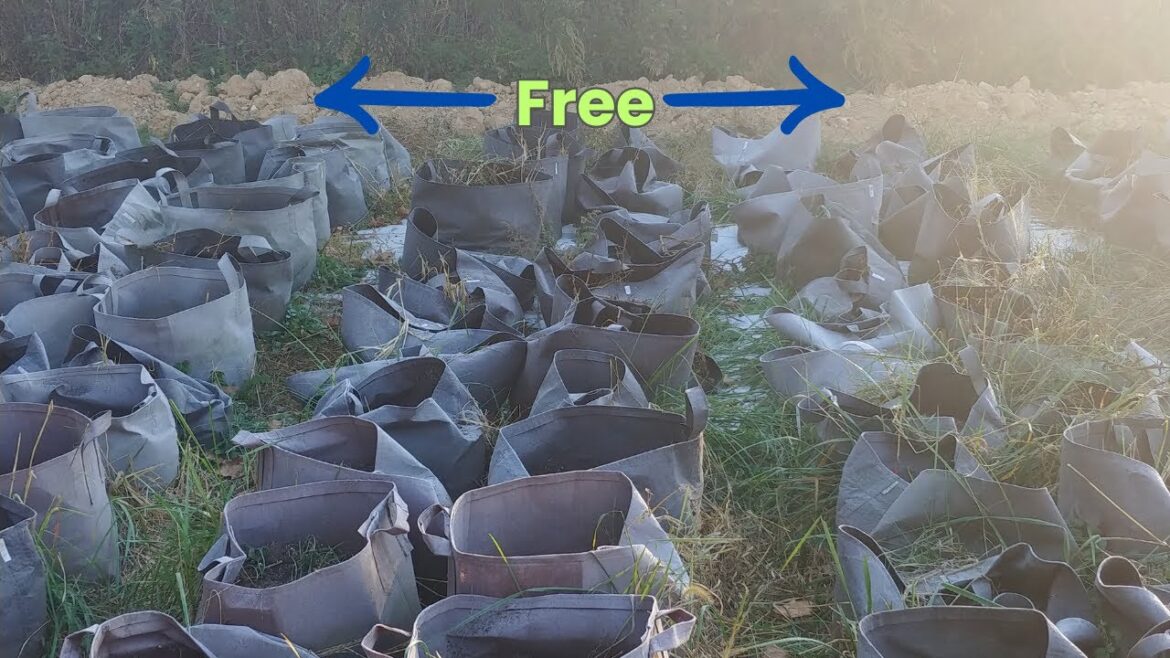 HOW to make  self WATERING grow BAGS for FREE