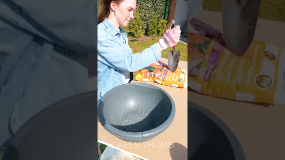 Turn Trash into Stunning DIY Garden Decor!