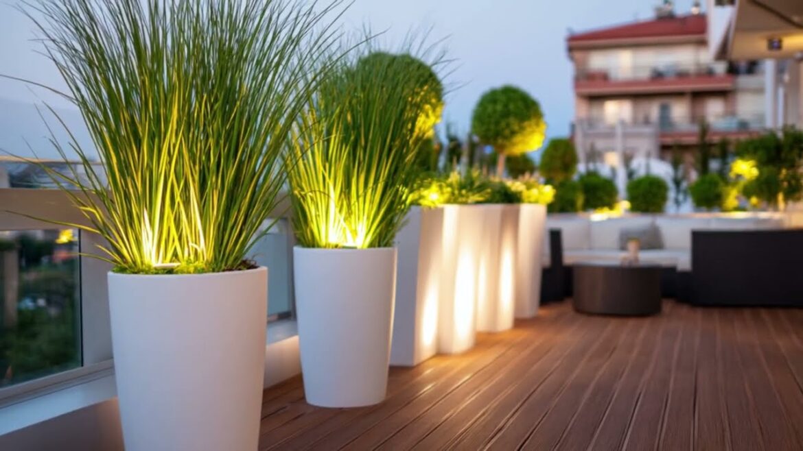 Rooftop Sleek Garden: Container Gardening, Green Roofs, and Must-Have Products for Urban Spaces Rooftop Sleek Garden: Container Gardening, Green Roofs, and Must-Have Products for Urban Spaces