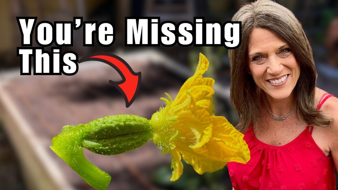 CaliKim: Grow TONS of Cucumbers: My No-Fail Secrets Grow TONS of Cucumbers: My No-Fail Secrets