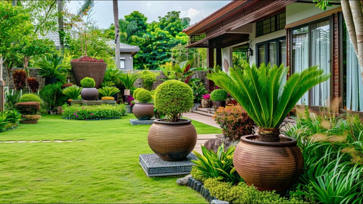 Modern House, Tropical Garden: Elevate Your Home with Stunning Front Yard Landscaping!