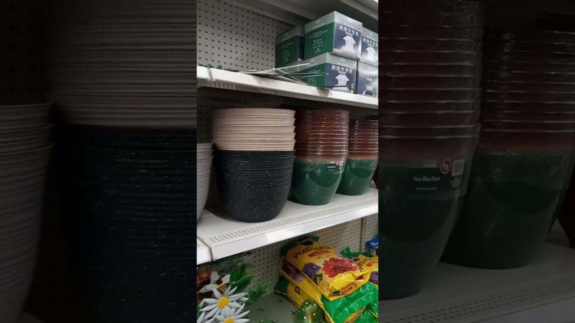 Dollar Store Garden Supplies Shopping