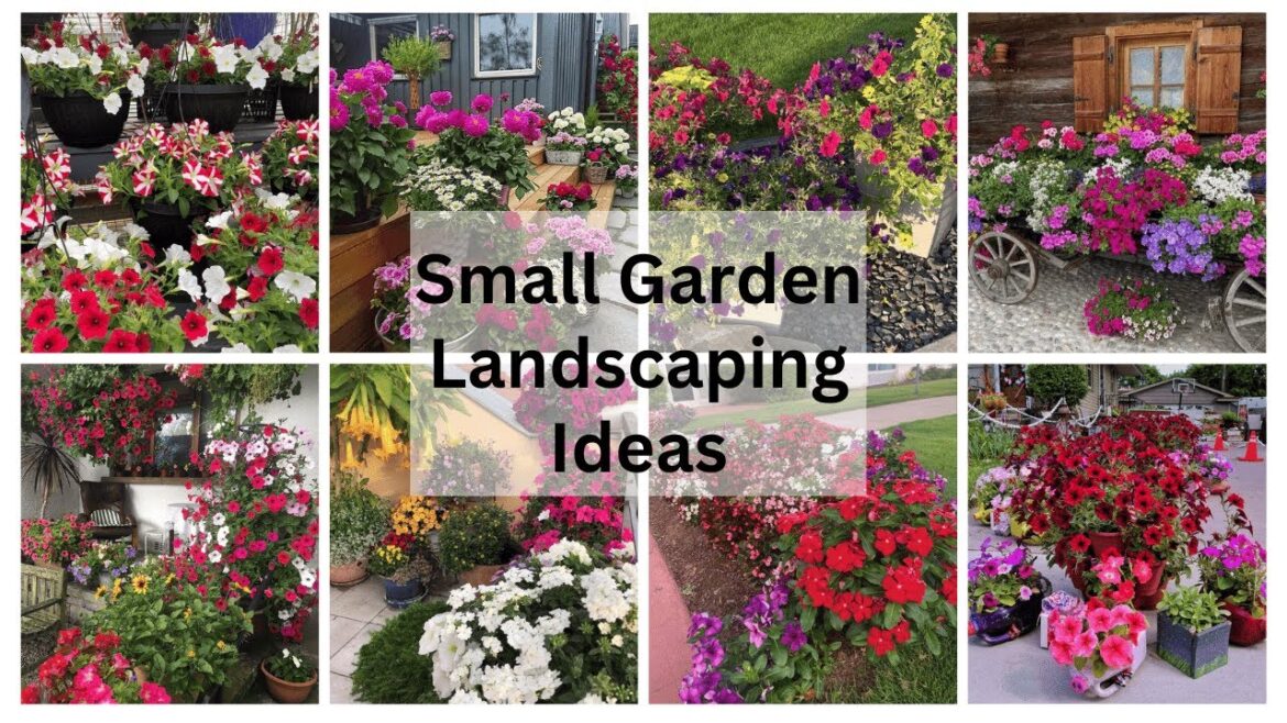 Small Garden Landscaping Ideas | Small Garden Decor Ideas | Small Garden Design | Your Home decor Small Garden Landscaping Ideas | Small Garden Decor Ideas | Small Garden Design | Your Home decor