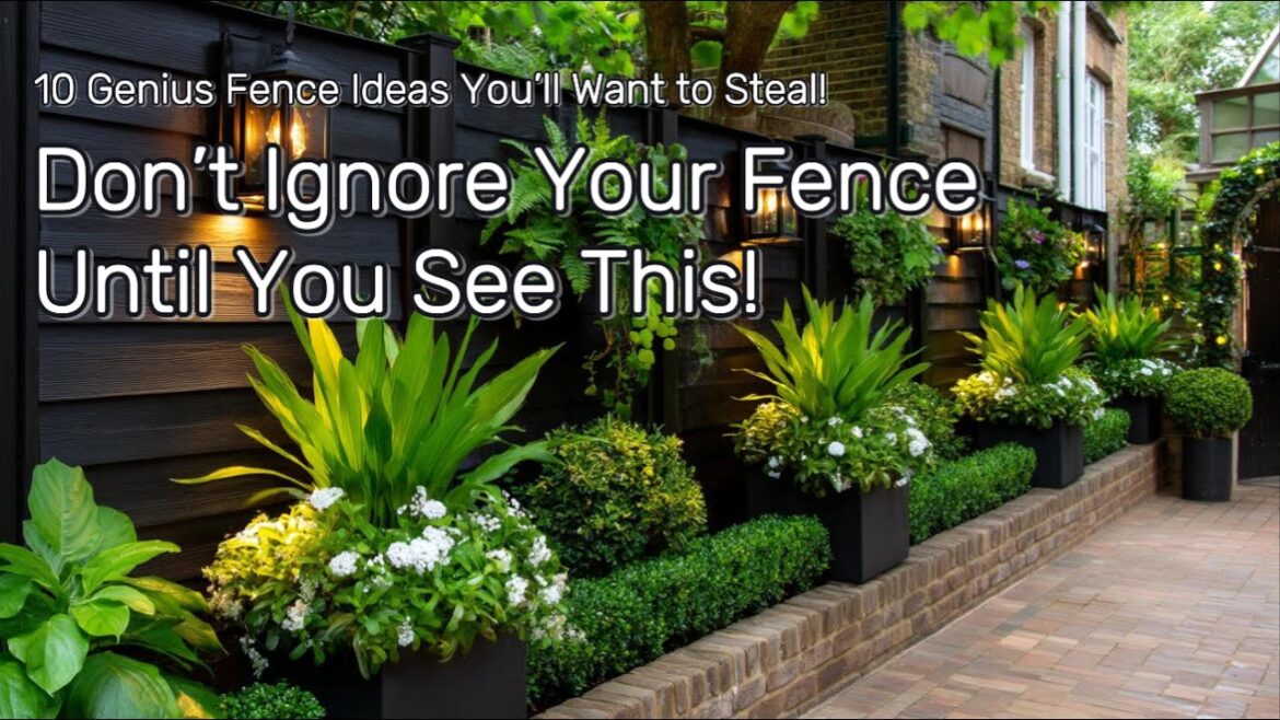 10 Stunning Fence Garden Ideas – Simple Landscaping Inspiration | Garden Walls Reimagined with Style 10 Stunning Fence Garden Ideas – Simple Landscaping Inspiration | Garden Walls Reimagined with Style