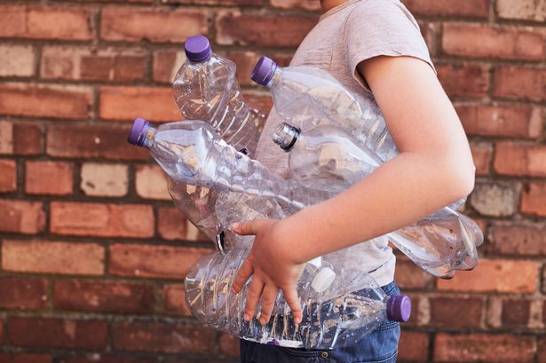 Gardeners are advised to hold onto plastic bottles because they can be used to keep flies away
