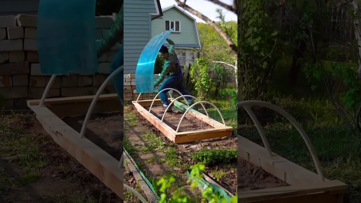 Transform your backyard with these smart ideas! 🌻🏡 #diygarden