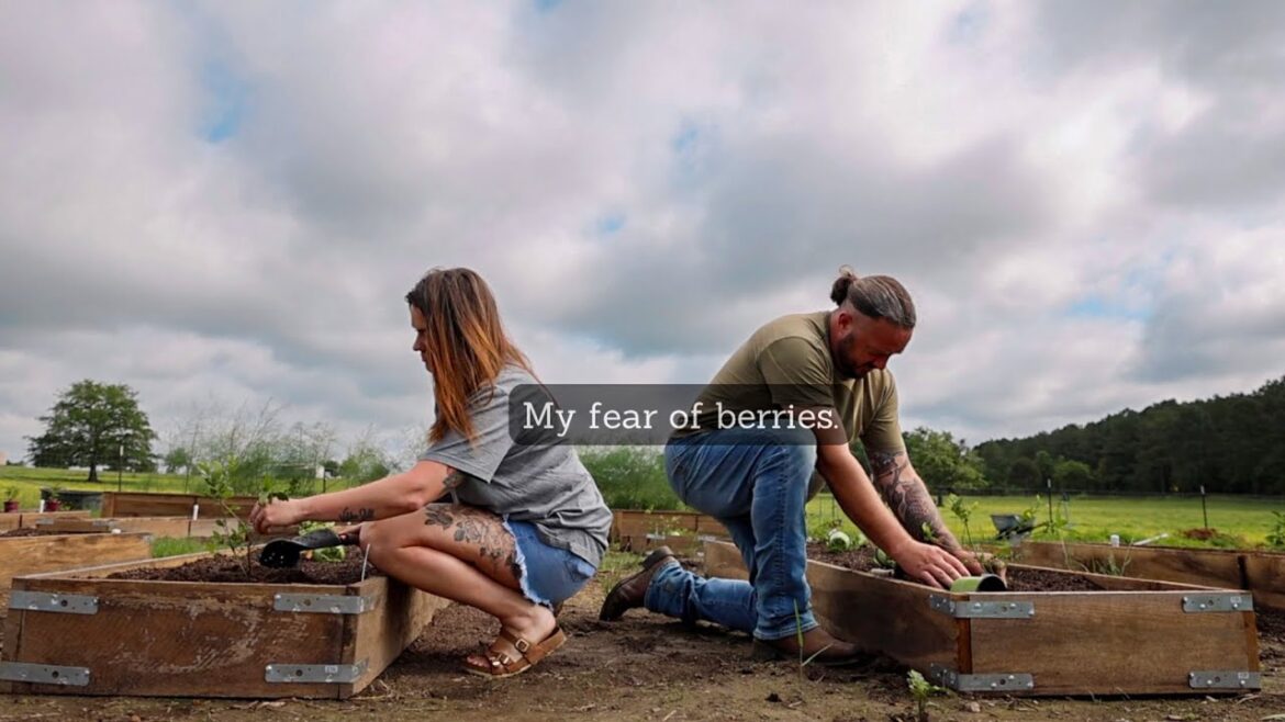 Roots and Refuge Farm: Our new fruit garden (I was so intimidated at first) | VLOG Our new fruit garden (I was so intimidated at first) | VLOG