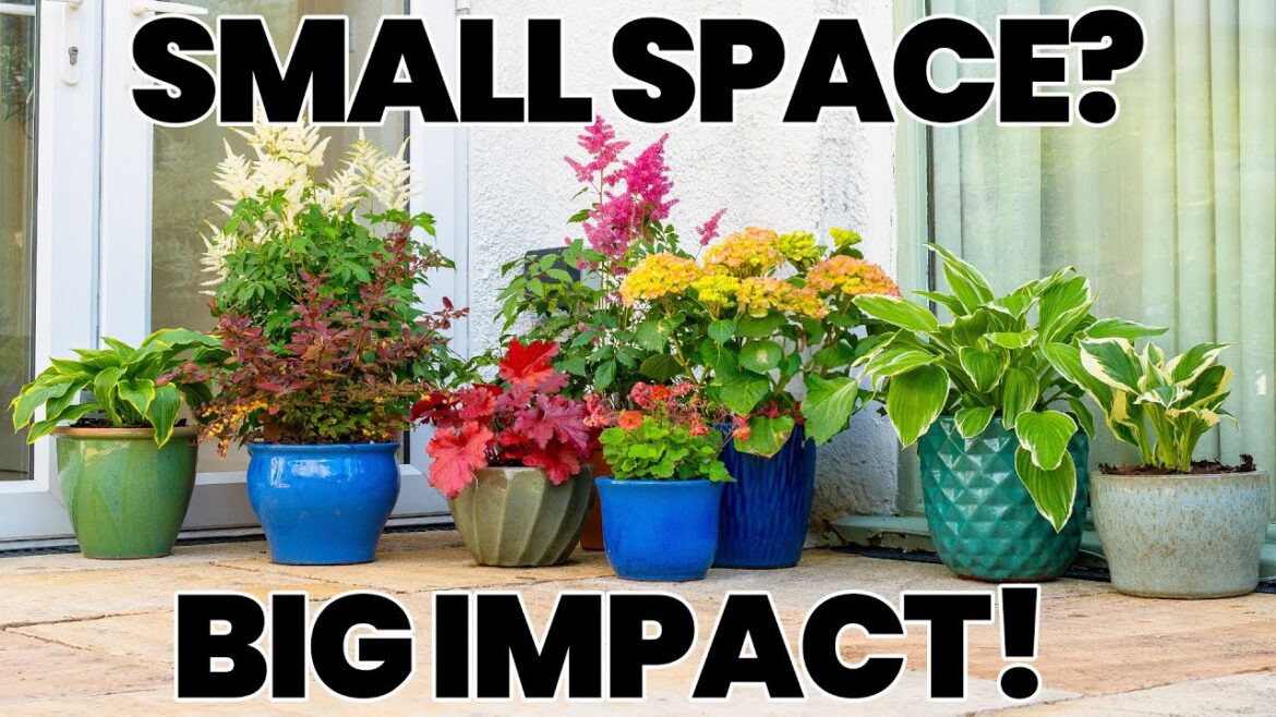 How to Build a Beautiful Container Garden on a Budget How to Build a Beautiful Container Garden on a Budget