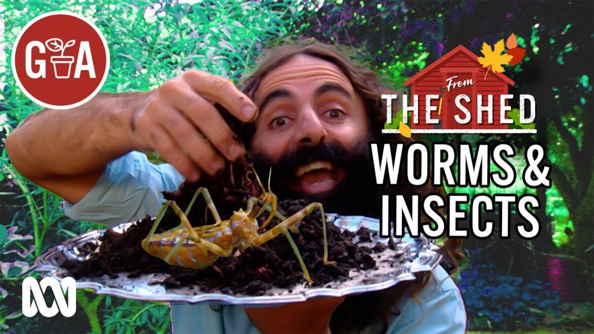 How to Manage Garden Predators | From the Shed | Gardening Australia How to Manage Garden Predators | From the Shed | Gardening Australia