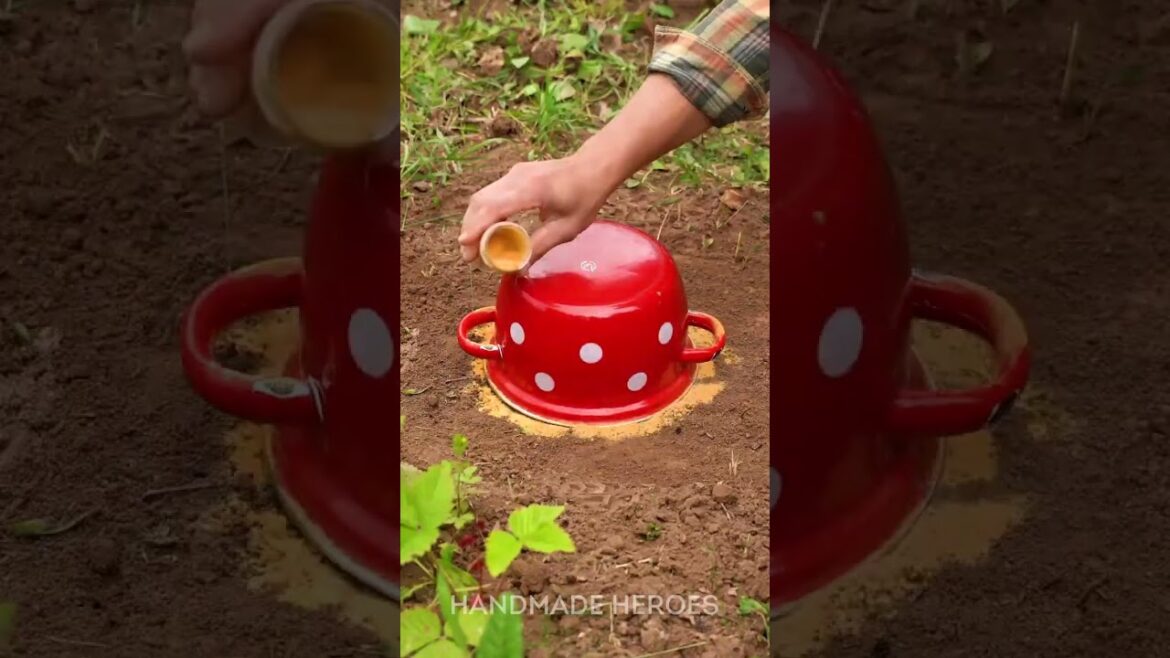 Smart ideas to upgrade your yard