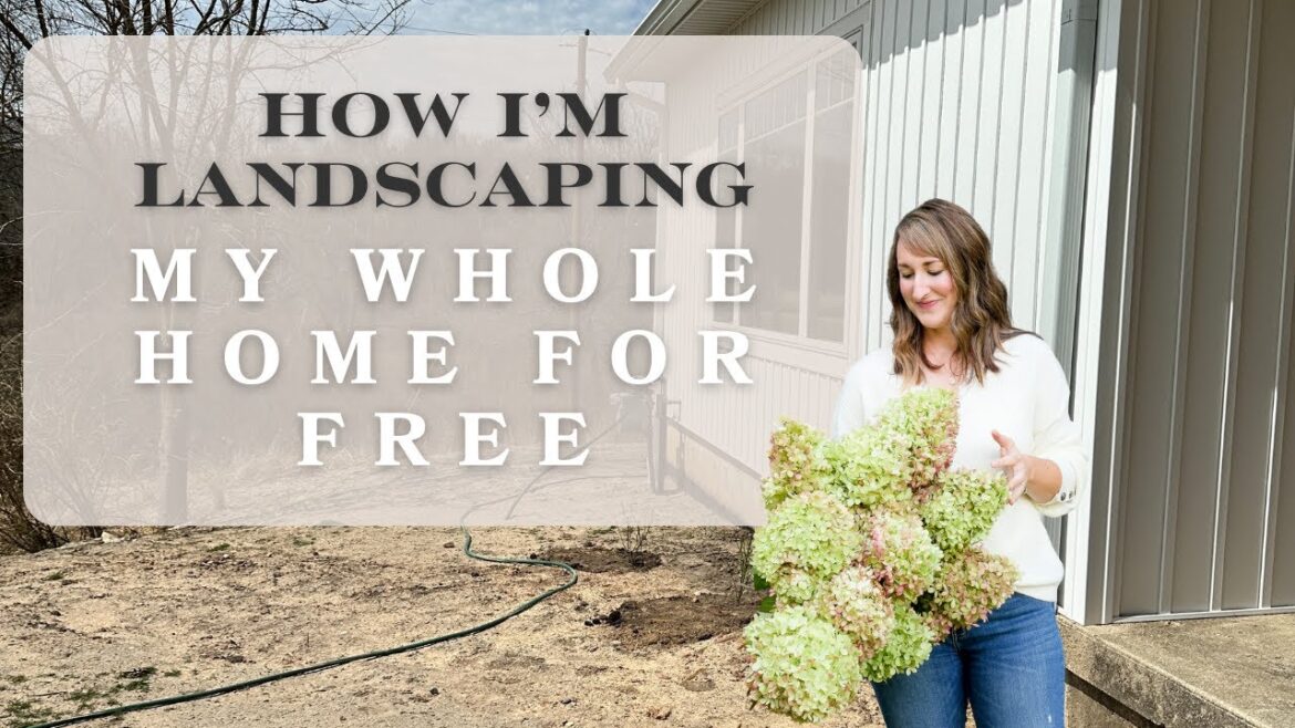 13 Landscaping Tips for Free Plants To Create a Beautiful Outdoor Landscape